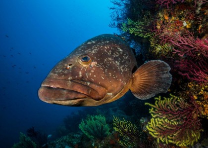 Diving Center on the Costa Brava_1