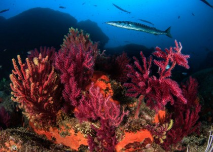Diving Center on the Costa Brava_5