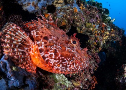 Diving Center on the Costa Brava_7