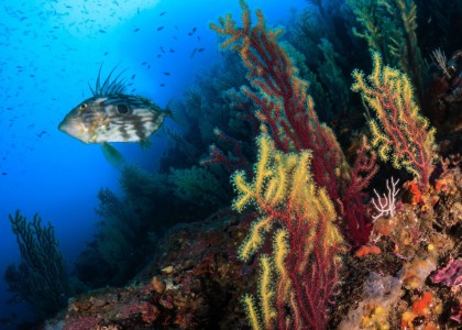 Diving Center on the Costa Brava_18